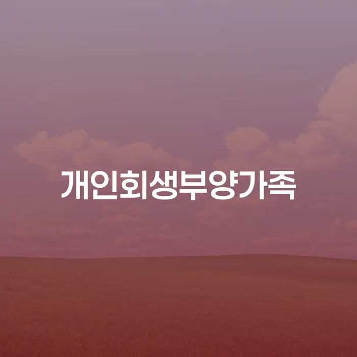 개인회생전문 채무 효과적인 해결방법 검토하여