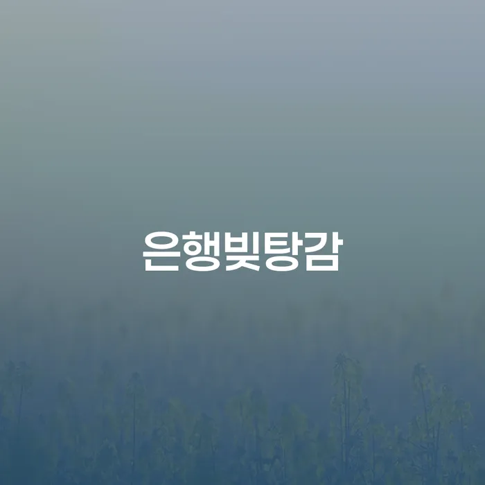 파산면책기간 대출 받은 돈채무조정 필수로 알아야하는 부분