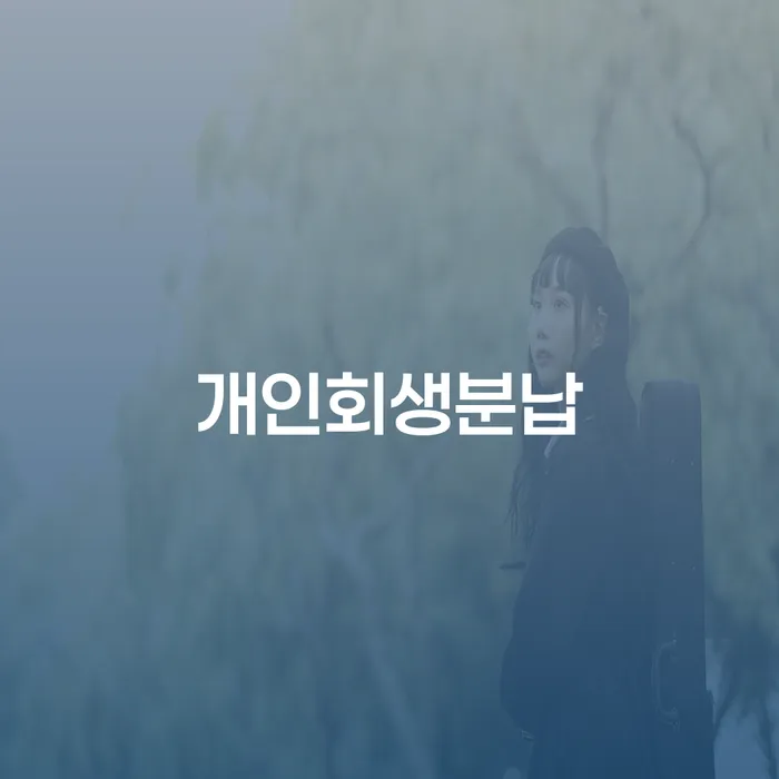 은행대출 연체 시 개인회생으로 방법 핵심요약