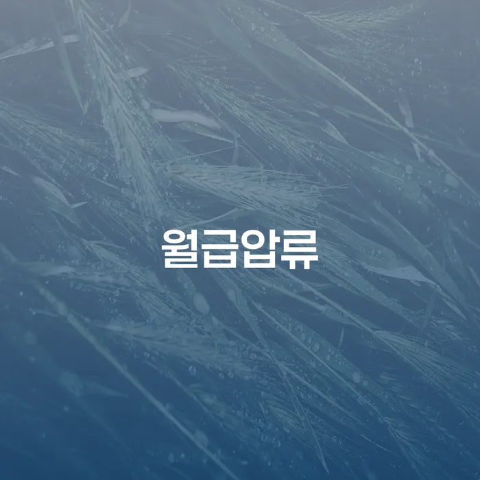 개인파산신청방법 연체 채무 신속해결방법 무료법률상담