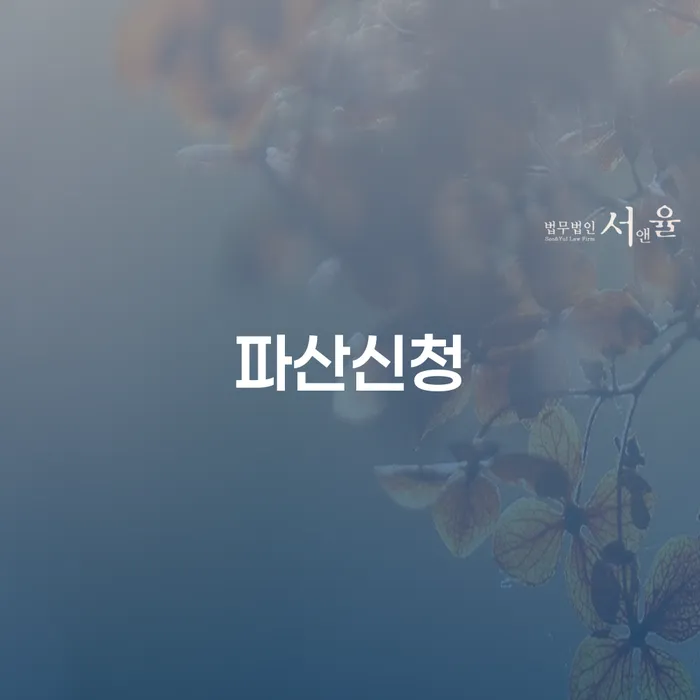 인천 개인파산선고 채무조정제도을 이용하여 하여야 하는 일