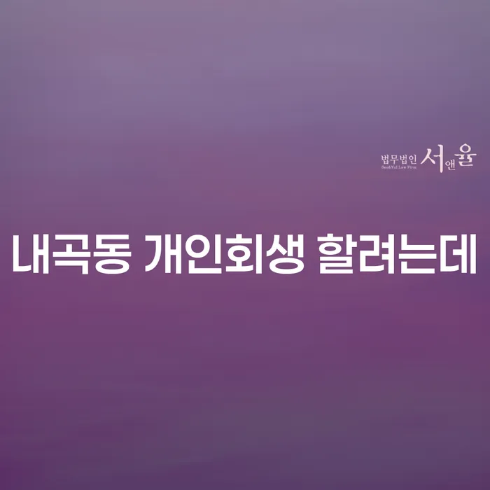 내곡동 개인회생 할려는데