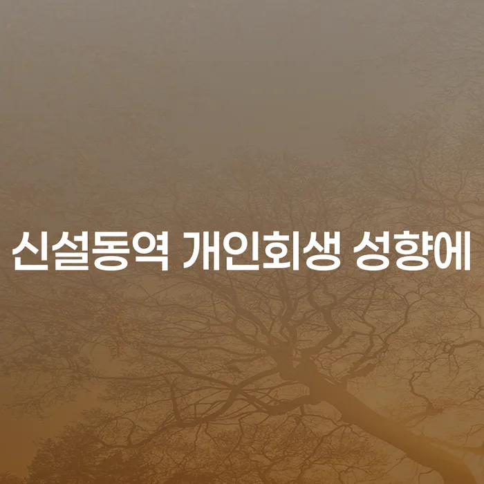 신설동역 개인회생 성향에