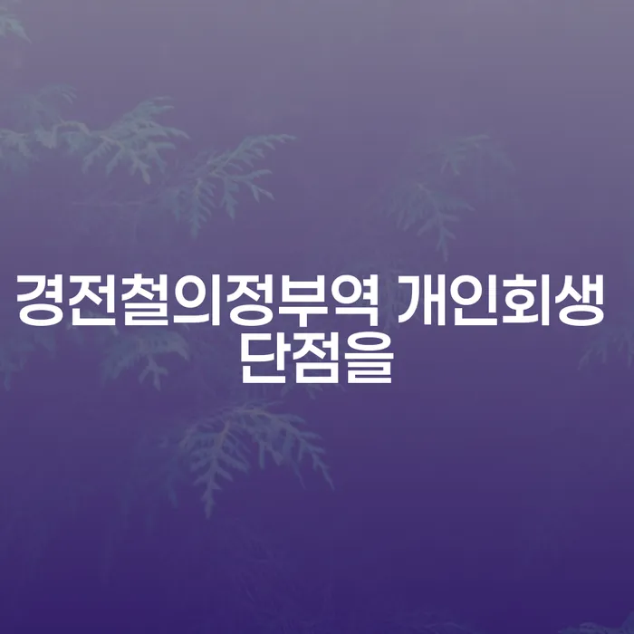 경전철의정부역 개인회생 단점을