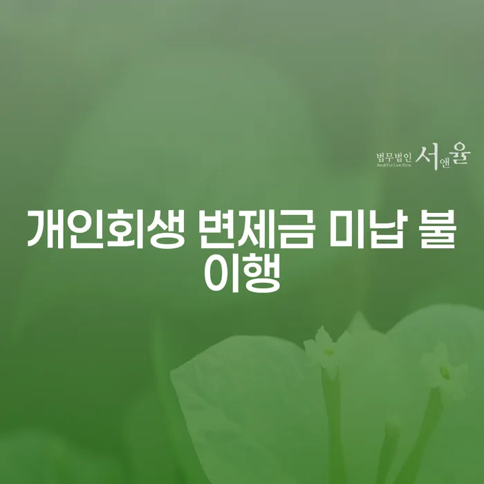 개인회생 변제금 미납 불이행, 해결할 방법은 무엇일까요?