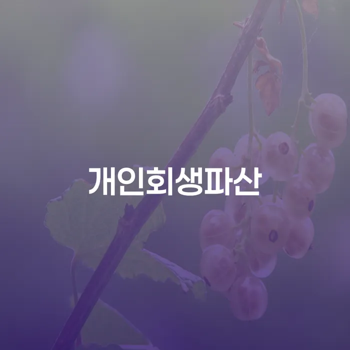 신안 개인회생파산: 빚 해결의 길, 어떤 선택이 당신에게 맞을까요?