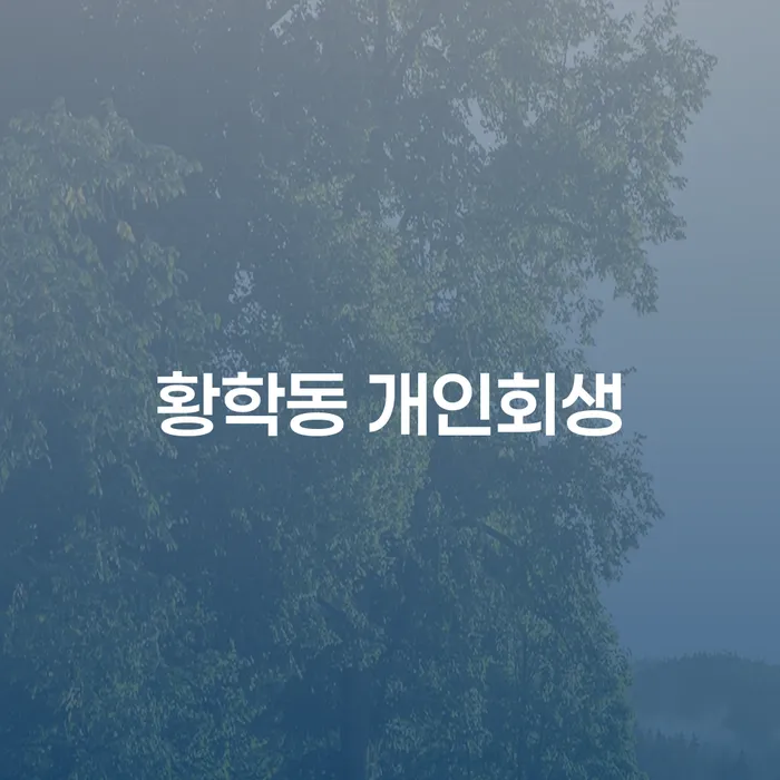 황학동 개인회생, 나에게 맞는 해결책은 무엇일까요?